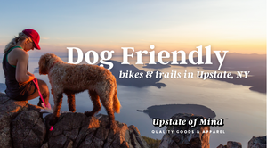 Blog post of