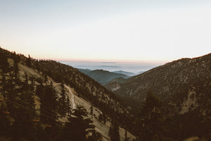 Set Forth: Mount Baldy