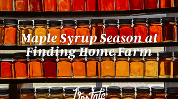 Maple Sugaring Tour at Finding Home Farm 2024