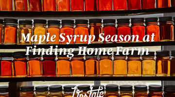 Maple Sugaring Tour at Finding Home Farm 2024 | Experience Upstate with Upstate of Mind