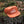 Load image into Gallery viewer, UOM Pine Tree Corduroy Hat - Golden Hour
