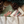 Load image into Gallery viewer, Season's Greetings Postcard