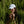 Load image into Gallery viewer, Upstate of Mind Pride Dad Cap - White