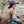 Load image into Gallery viewer, Upstate of Mind x Adirondack Mountain Club T-Shirt