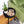 Load image into Gallery viewer, Postcard Adventure 3-Pack