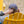 Load image into Gallery viewer, UOM In the Wild Dad Hat - Navy