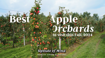 Best Apple Orchards to Visit This Fall