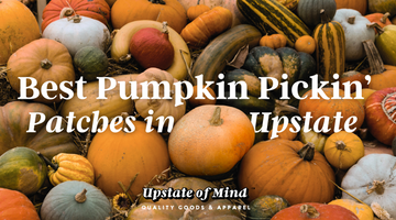 Best Pumpkin Pickin' Patches in Upstate New York