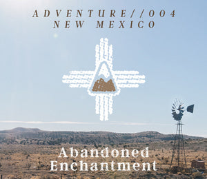 Abandoned Enchantment // 004