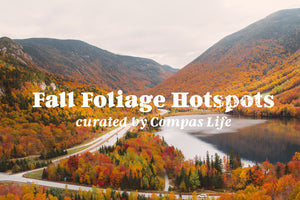 Fall Foliage Hotspots for Backroads & Byways