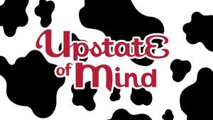 Upstate Mornings Collection