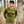 Load image into Gallery viewer, Forest Ranger Long Sleeve Tee
